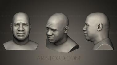 Busts and bas-reliefs of famous people (BUSTC_0397) 3D model for CNC machine